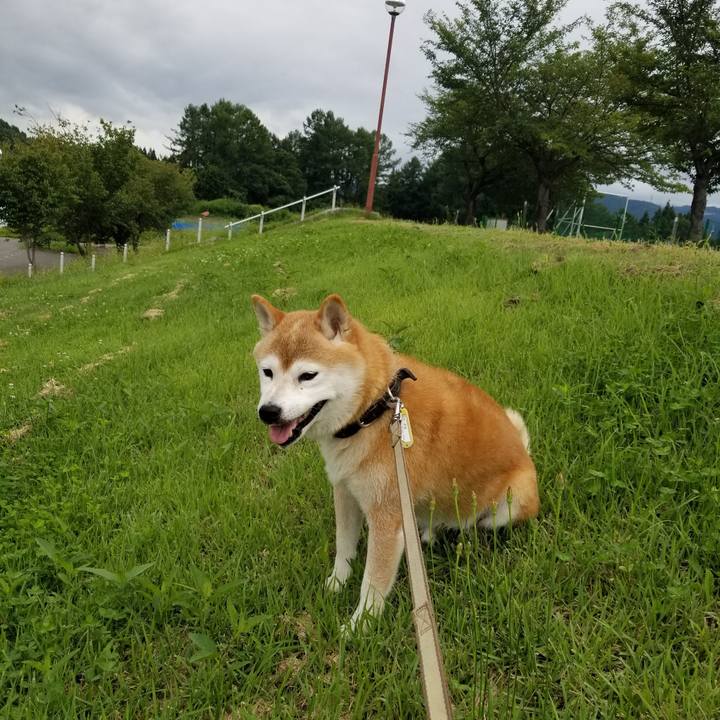 843a8f86 7825 4615 982e e4aa3ab156f4 1661500324034