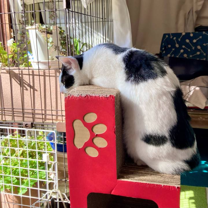 843b2991 4cba 4341 8369 8145ead0d2f9 1670563493623