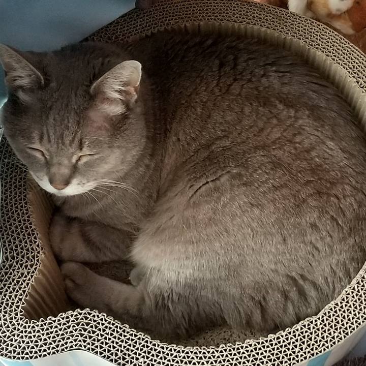 843b4c4b 23f3 41a8 8c78 f40e930056f8 1648357697505