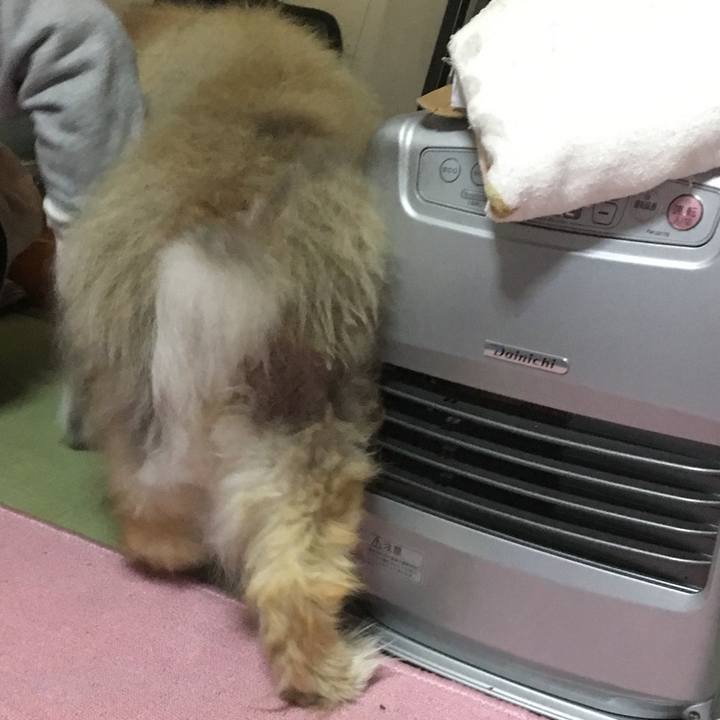 843b764c b256 4e1a b35c 12d99d252112 1592274281443