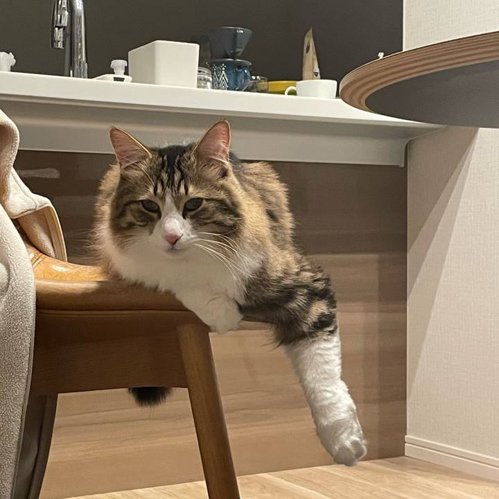 843b8e09 bfe9 4e6a a576 a12a52f869b9 1771583997657