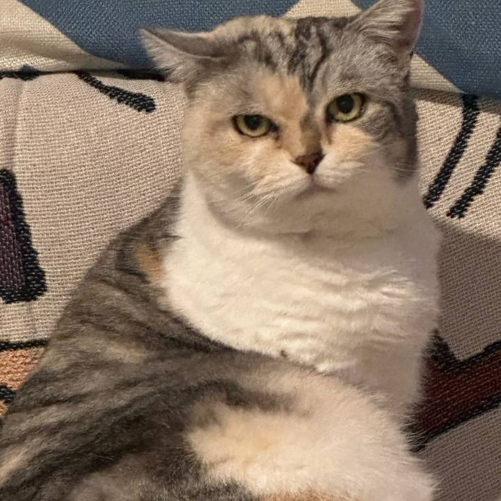 843b8e73 5166 4874 966b cff6a5996e27 1709409850809