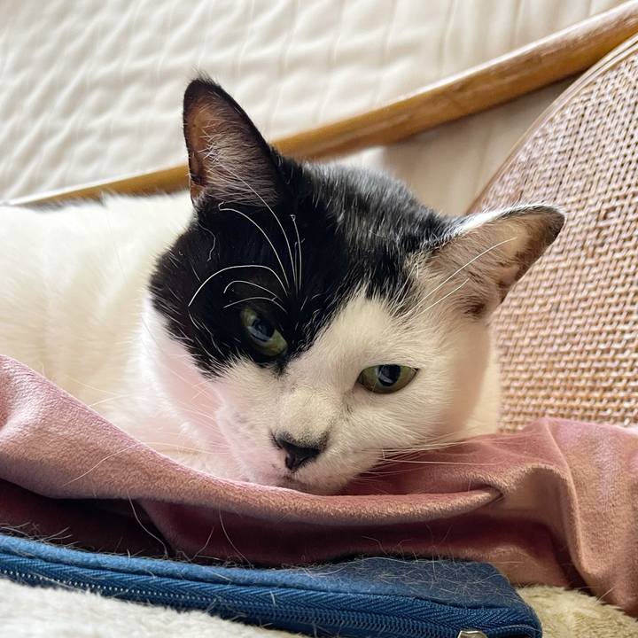 843beed7 f63d 4190 942e 2e43bf6f287e 1771282339081