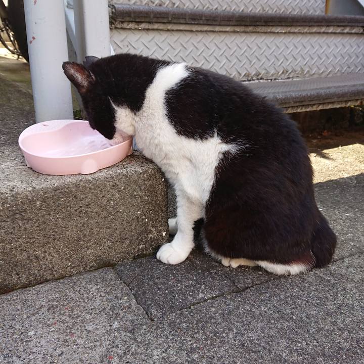 843bf8bf 6ec2 46de a8d6 25b16b701519 1592294086677