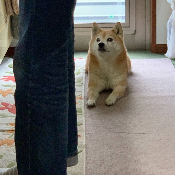 843c4b10 c71b 4c82 a589 db57a0481251 1681630337274