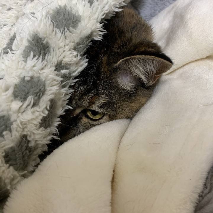 843c5f3d 18c4 4e51 86e1 403eb8df60b3 1729476942231