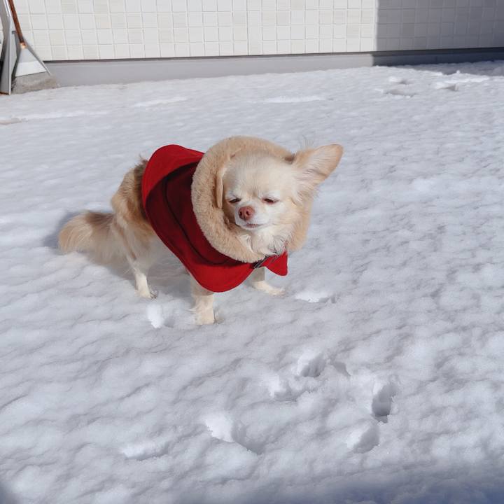 843c75a3 9853 4d77 bfa8 d1228b64fc6d 1767402661574