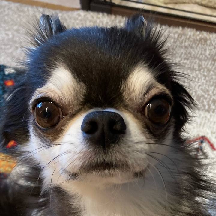 843ca3bb 3e47 488e 97df df5fbc8ffe44 1713655469718