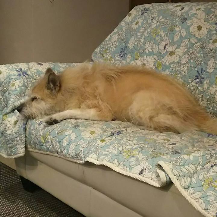 843cd4c3 7faa 4861 8bfd 3b888a043162 1542451390787