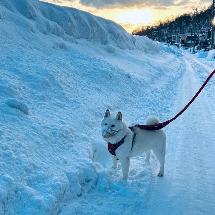 843ce5c8 7d15 4115 b943 4d3e08621518 1708122705337