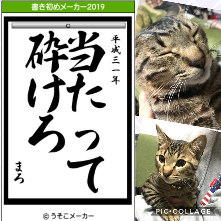 843cea92 cf86 4dbf a93c a3f54612835b 1546484771216