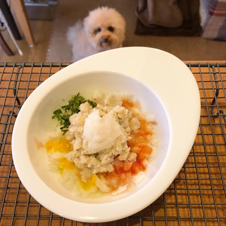 843cf69f 0490 4a75 b137 653b21608df8 1524816675251