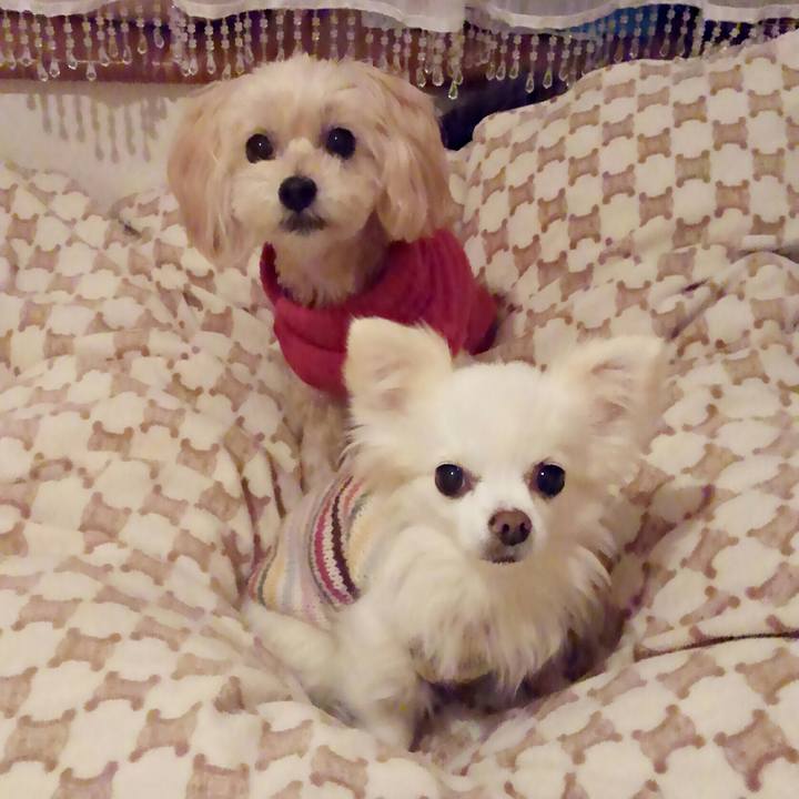 843d185f 3a3e 4564 84e1 cb81c317dbb0 1515504125462