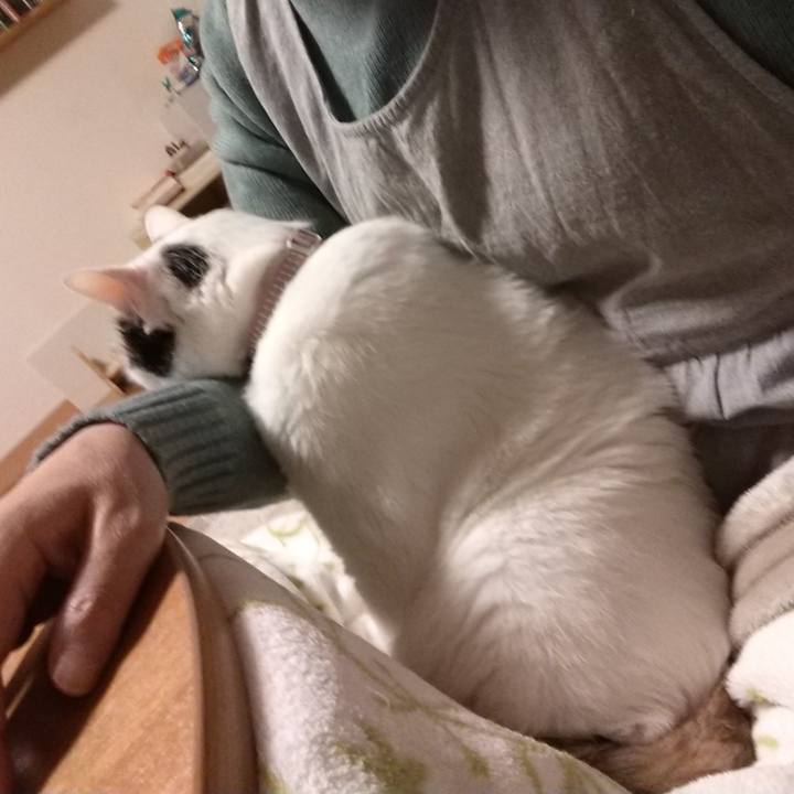 843d4540 fd6a 40ff b304 fcaeb181d488 1650281126142