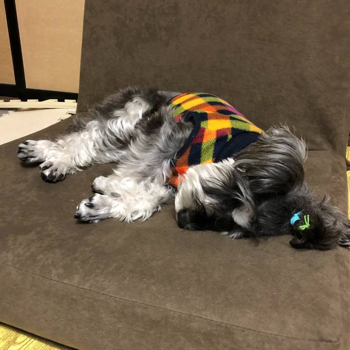 843d58d6 7b63 408b ac1b 880ff8b8c2f5 1512823506275