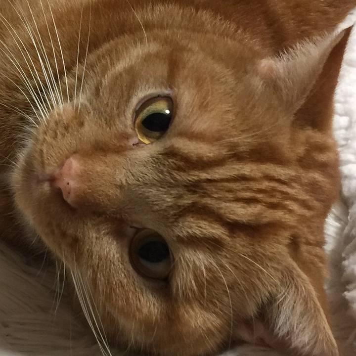 843d7e6d bea0 4fde 802b 4c14eee257c9 1549694571669