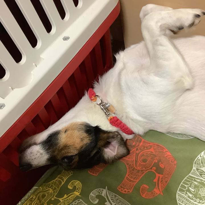 843d8be2 3230 4f87 a362 ad81c18b51ec 1568287393792