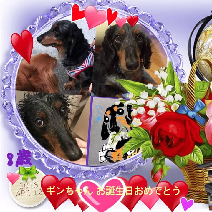 843d8f51 8890 48f8 9f75 019a29a685e7 1523484715037