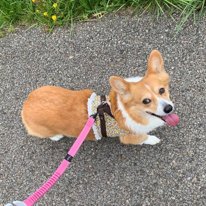 843e3d27 c034 4870 82c7 0016d049ad87 1650429079720