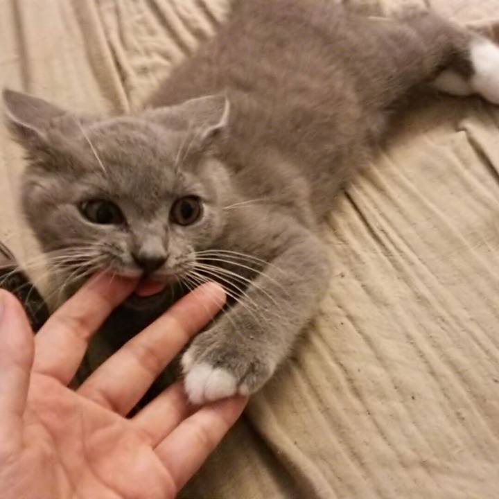 843e5389 fd26 46c9 a1ac b705006d86ea 1532300893438