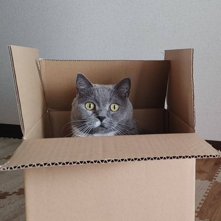 843e69cf 53e3 4bb9 a653 ea05a9232b8a 1729993179732