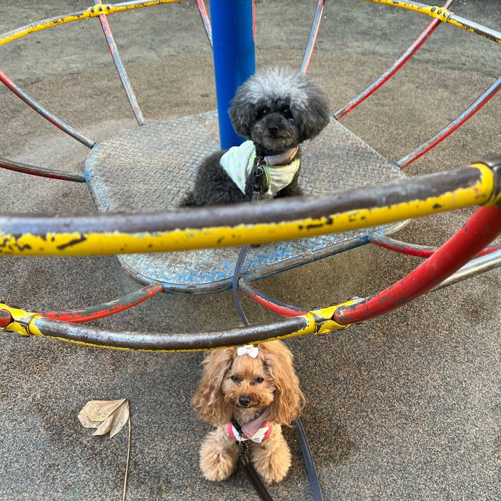 843ebf6f 60e0 4e86 abde 27c16a2eabea 1658272346416