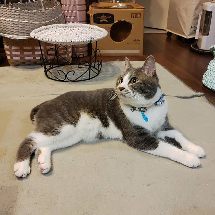 843ed1b7 7a5b 4cb2 b0d9 09697f0edb12 1686143745656