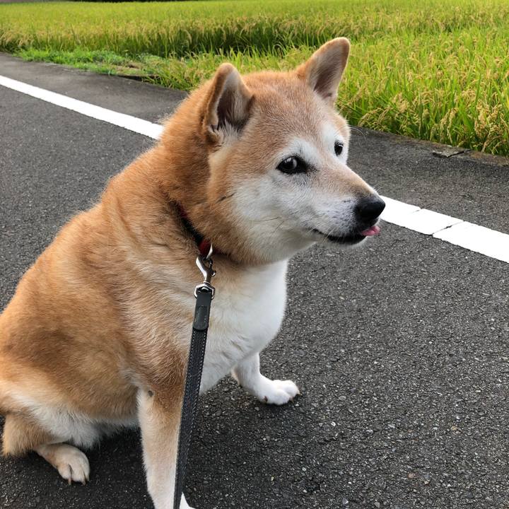 843eefc3 0846 4876 a103 36f13c49fe6f 1567914828157