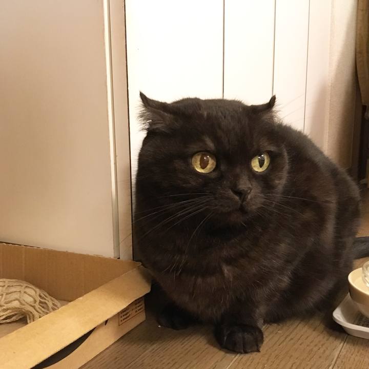 843f0b33 2cb7 4594 aa5c 5fae86df561b 1512311413335