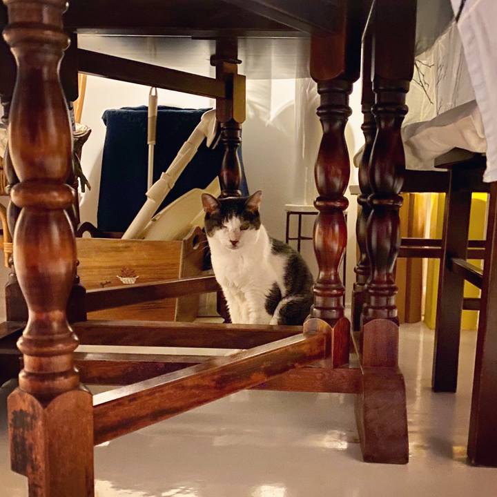 843f14c4 3fa2 45b2 8061 980b57e2bba0 1599310463241