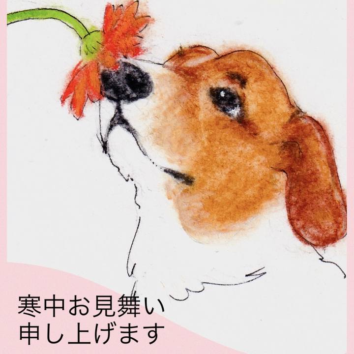 843f34d6 f806 402b 9bfb 7e6267aa1150 1738377092067