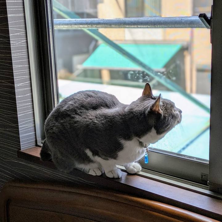 843f7a2b 3911 4b0e a1fc 9cc743ba6271 1743742870922