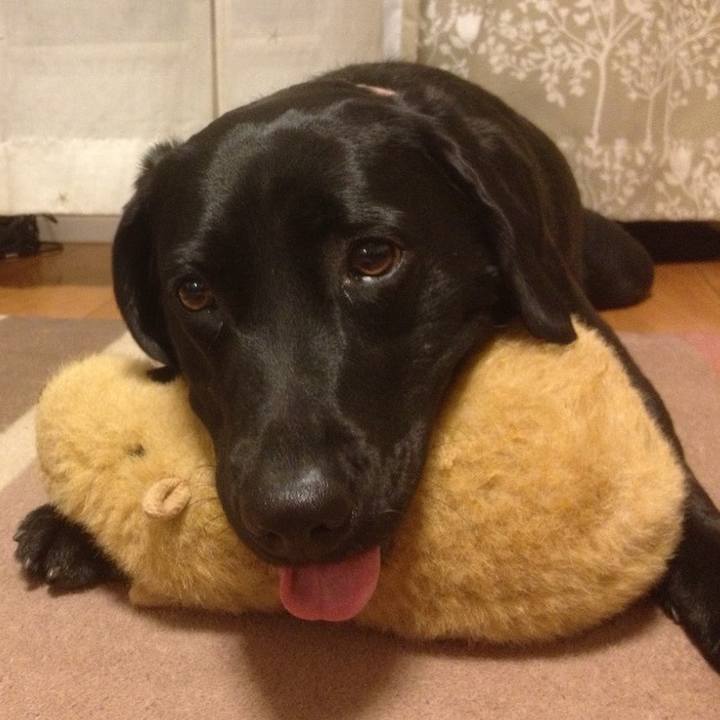 843f85c4 56b0 4905 843d 8c953312bb2c 1757076049416