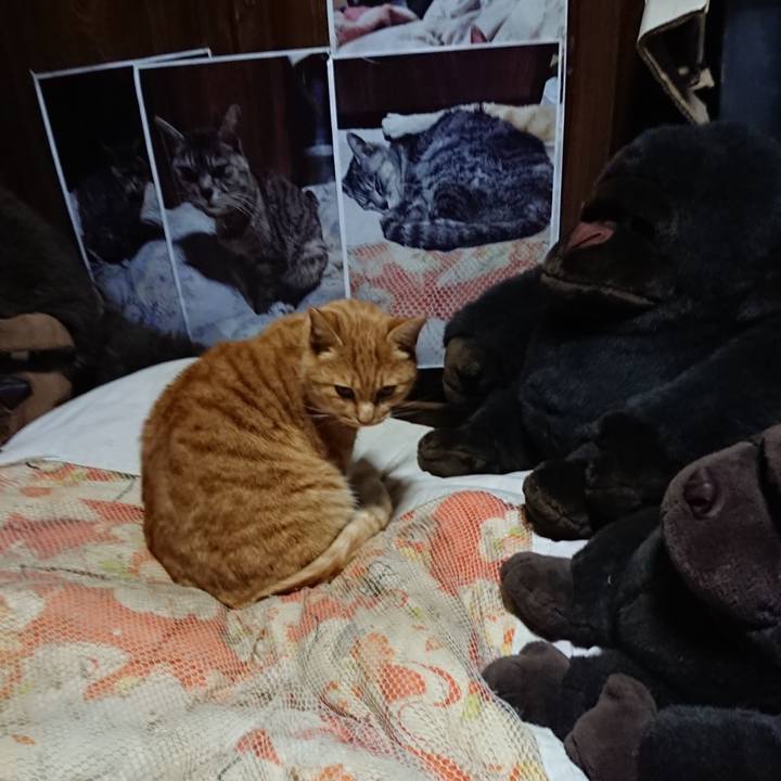 843f8677 6869 4d6c 9204 406fb41127d7 1608545198840