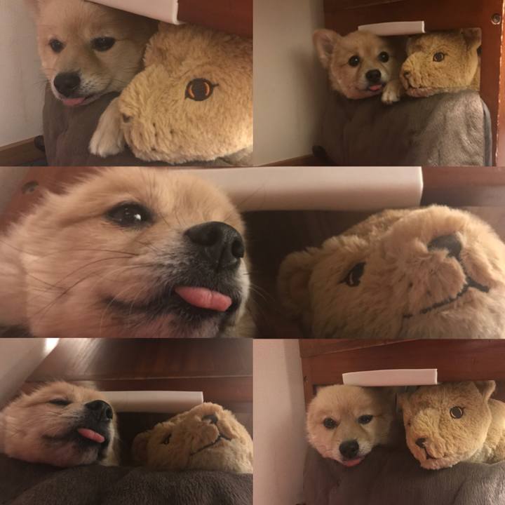 843f9066 f6db 4cc6 b212 9656e72a4773 1580052281129