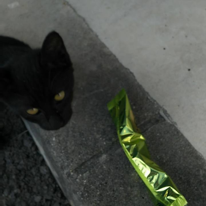 843fae96 581a 4268 806e edd278c9bd64 1532323469371