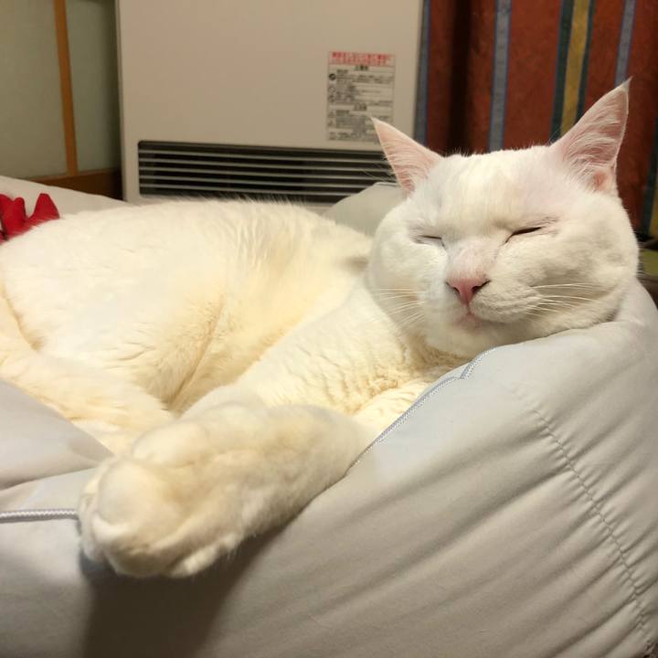 843fb7db 9978 4a59 ad1a 6001390c006c 1641297018381