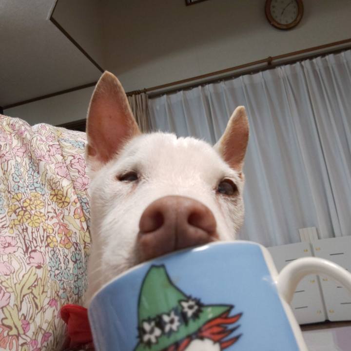 843fbd79 0174 4267 8936 19fed218939c 1559859532600