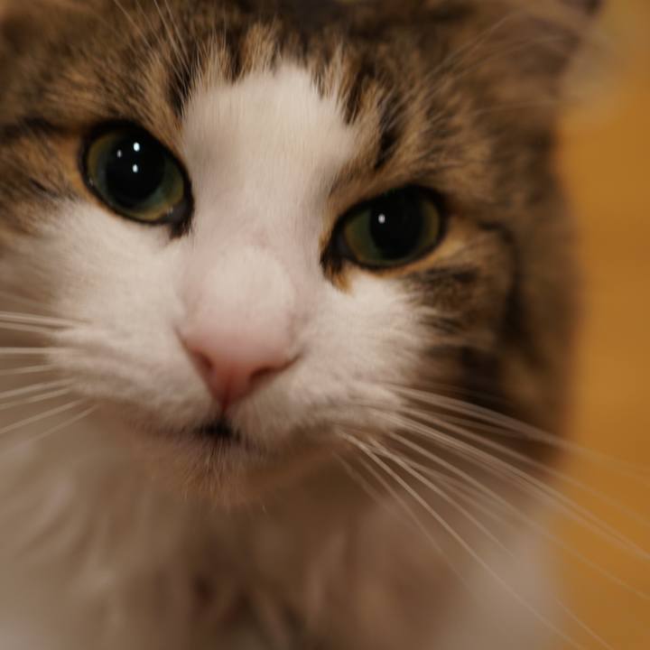 843fe244 9209 45e4 ac19 da257146af3b 1576851726354