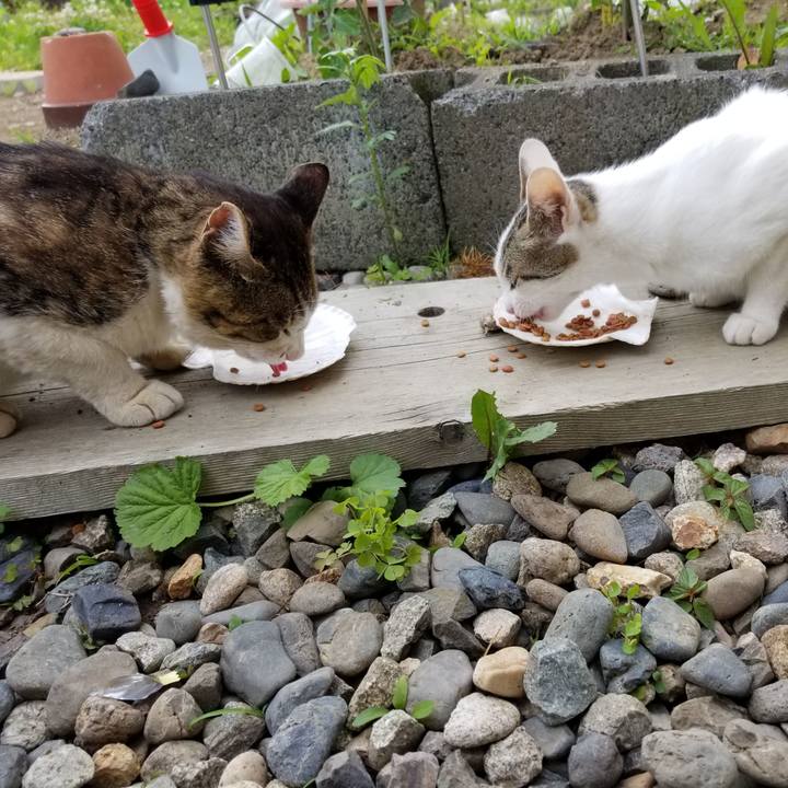 843ff47b 20f6 49ba ada0 9eac0280cdd6 1593609092729