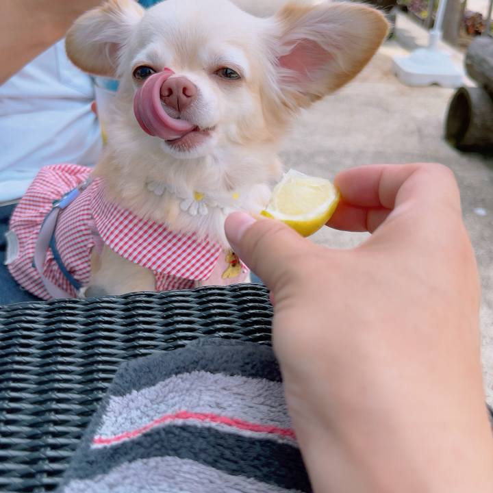 843ff92e b833 4b7c a36f 8a0da9cba9b8 1694428686919