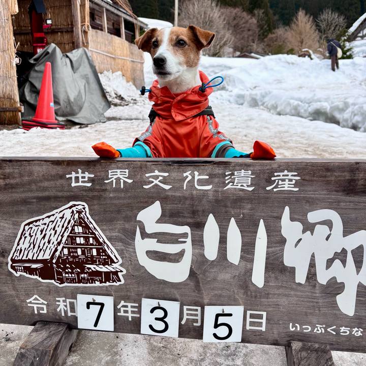 8440af10 0a0f 46da a11f d7818fb0c7bc 1741211219098