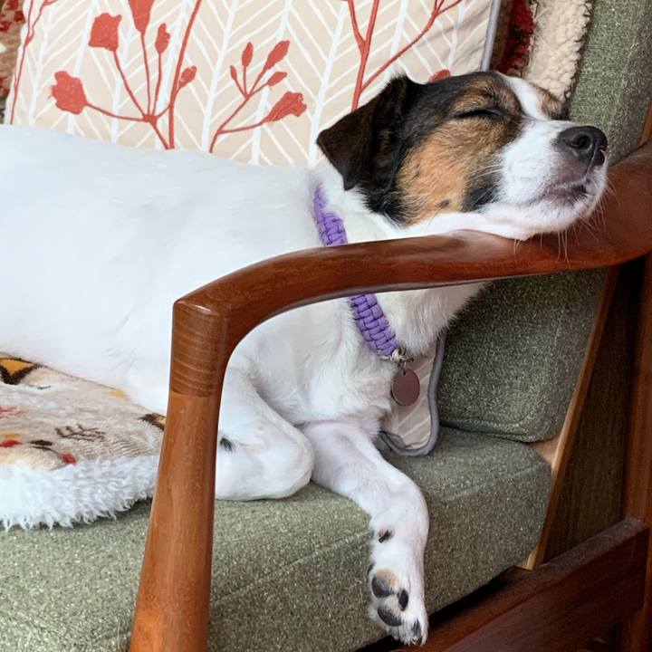 8440bee4 5318 4c27 9ce3 cc328e794dac 1599970335583