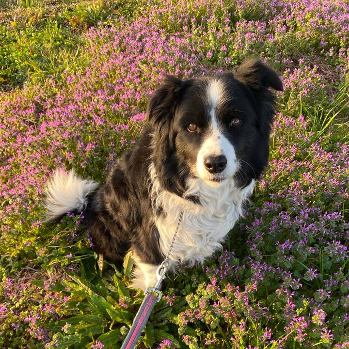 84410474 7bf0 42f0 bb30 80bcf798ec29 1614035875376