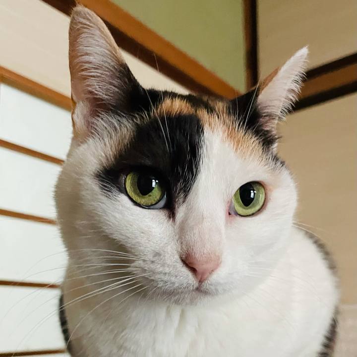 8441438f ccc2 4f3f bd6f 499bf6359827 1620698920553