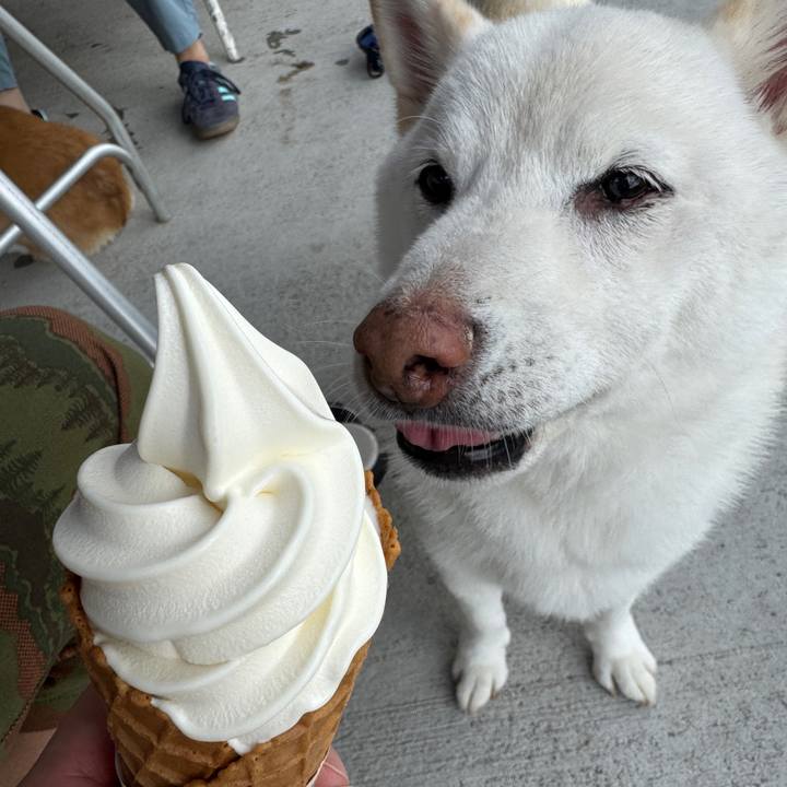 84414ccf 7ce5 49ad 80a8 be468f47a528 1758858757502