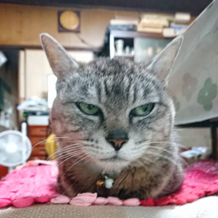 84415232 fd42 4cb5 a370 b7d2afb62c89 1562014952534