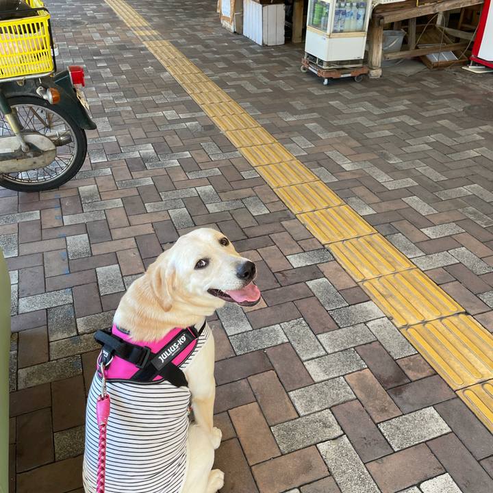 84415e21 f6d8 49bb beae 784b661e0837 1628208436273