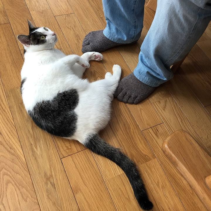 84416ac0 ae26 46ef 844e 7670b053371f 1667385420847