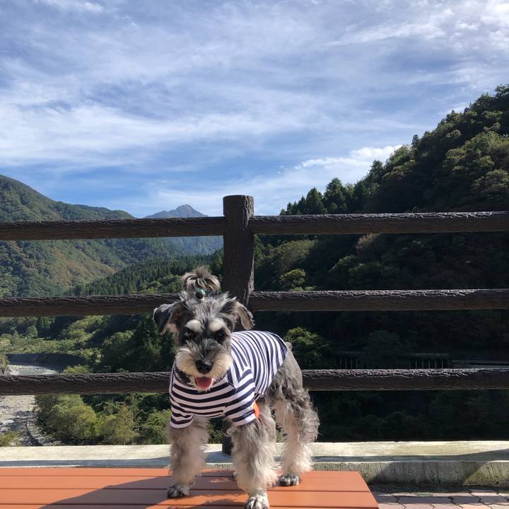 84416d43 b4ec 42c1 af2c f8a81065ec03 1699163232862